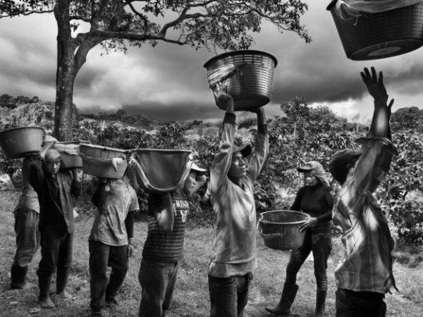 O que sustenta o seu&nbsp;trabalho?